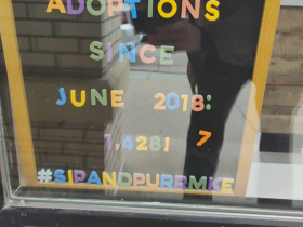 1,428 adoptions since June 2018