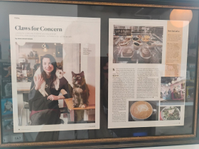 Article about Sip & Purr Cat Cafe
