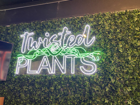 Twisted Plants