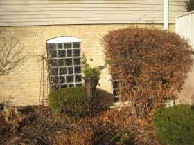 Brostoff Home.