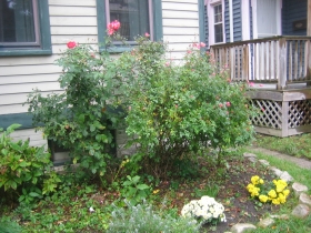 Jon Richard's East Side Home.
