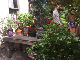 Historic Sanger House and Gardens