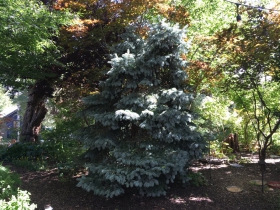 Historic Sanger House and Gardens