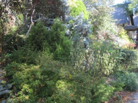 Historic Sanger House and Gardens