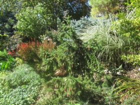 Historic Sanger House and Gardens