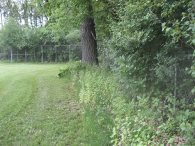 Brown Deer Park