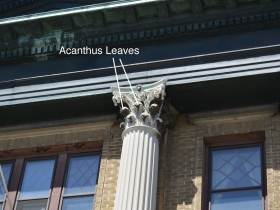 Acanthus leaves