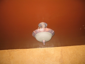 The Bottle