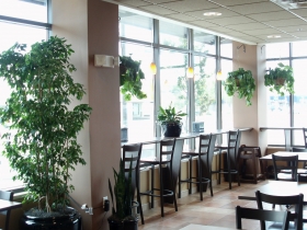 Troop Café is a relaxing place to be, with its warm earth tones, wood accents and plenty of greenery.