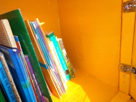 Books inside Little Free Library #7817.