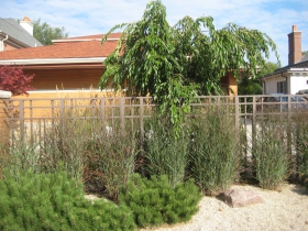 Andrew Hurley's Home.