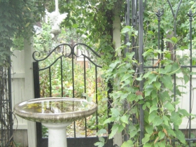 Kane Place Cottage Celebrates the Seasons
