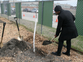 Mayor Cavalier Johnson Plants Tree