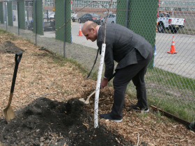 Ald. Nik Kovac Plants Tree
