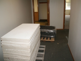 Ceiling Tiles and Carpet