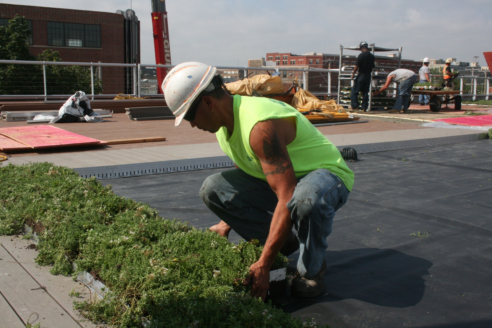 Hard Hat Tour: Radio Milwaukee’s Green Roof Installation