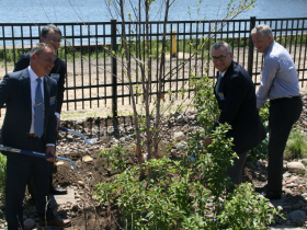 John Koetz, Kody Yanagisawa, Jeff Dawes and Tim Sheehy Plant A Tree