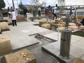 Harbor View Plaza