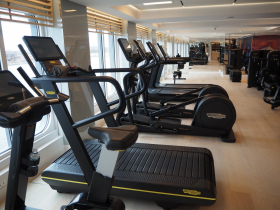 Fitness Center on Viking Octantis