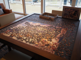 Puzzle on Viking Octantis