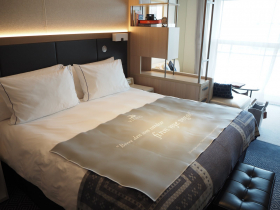 Mid-Level Room on Viking Octantis