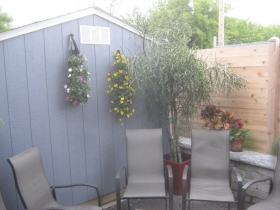 Patio at Kruz