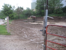 The Horse Barn