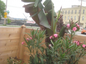 Patio at Kruz