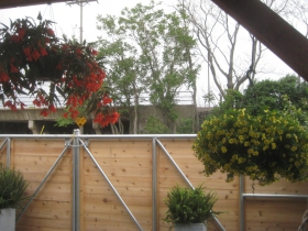 Patio at Kruz
