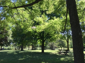 Havenwoods State Forest