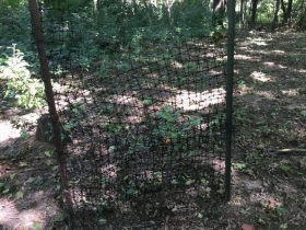 Havenwoods State Forest