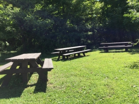 Havenwoods State Forest
