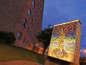 Life's Garden
