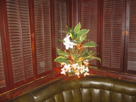Bryant's Cocktail Lounge