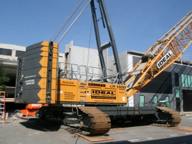 Crane