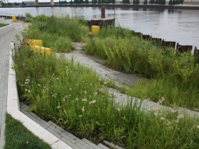 River frontage at Erie Street Plaza