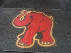 Red Elephant Chocolate