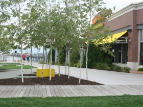 Ambiguous Property Line