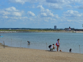 Urban Island Beach Party