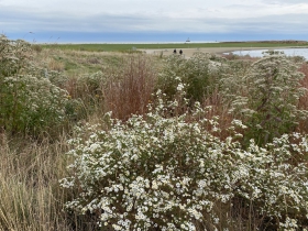 Lakeshore State Park