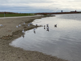 Lakeshore State Park
