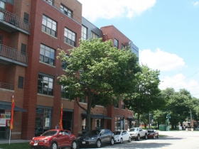 Gaslight Lofts.