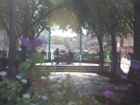 The median on Broadway at lunch time