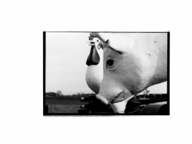 Rebecca Voigt (Digital Photography of large painted iron animals)