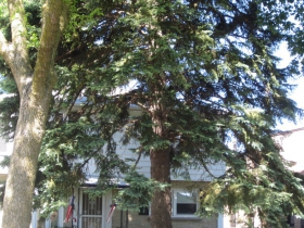 Tim Carptener's Home