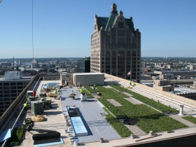 Green Roof Installation at 770 North