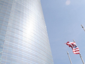 Flag Waving