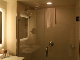 Standard Shower
