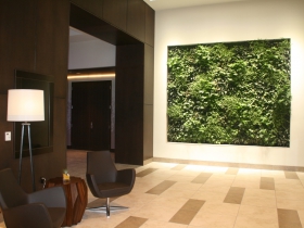 Living Wall