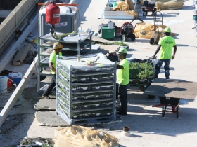 Green Roof Installation at 770 North